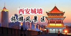 抽插白领中国陕西-西安城墙旅游风景区