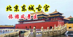 美女被操黄色网站www中国北京-东城古宫旅游风景区